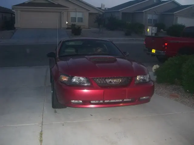 MandysMustang003.webp