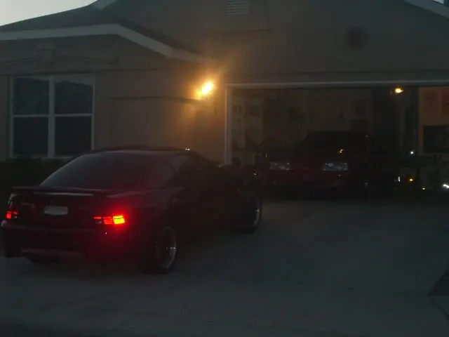 MandysMustang005.webp