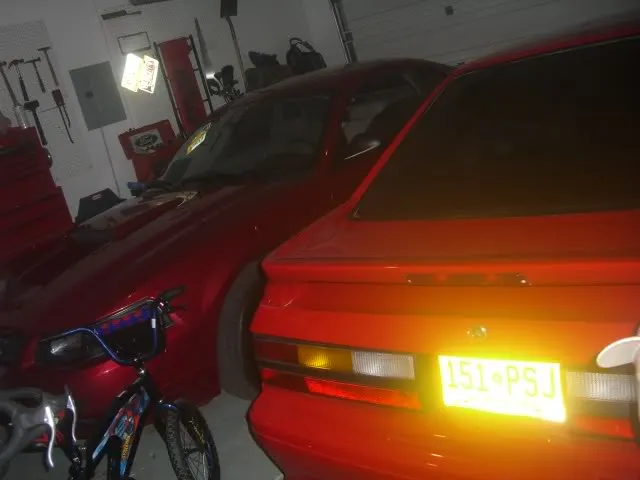 MandysMustang008.webp