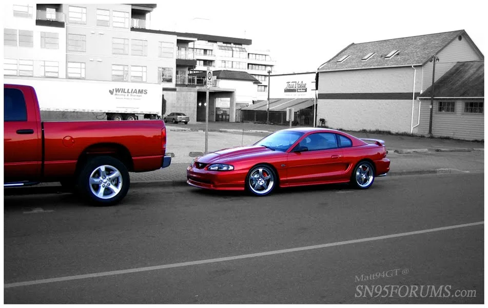 mattsn95forums.webp