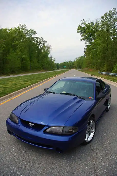mattstang1.webp