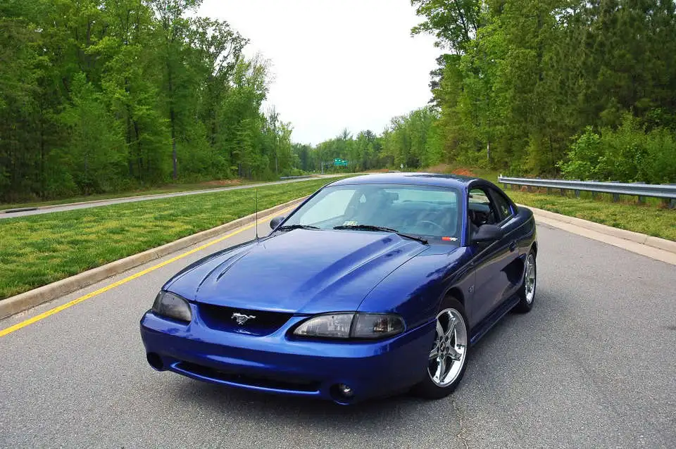mattstang2.webp