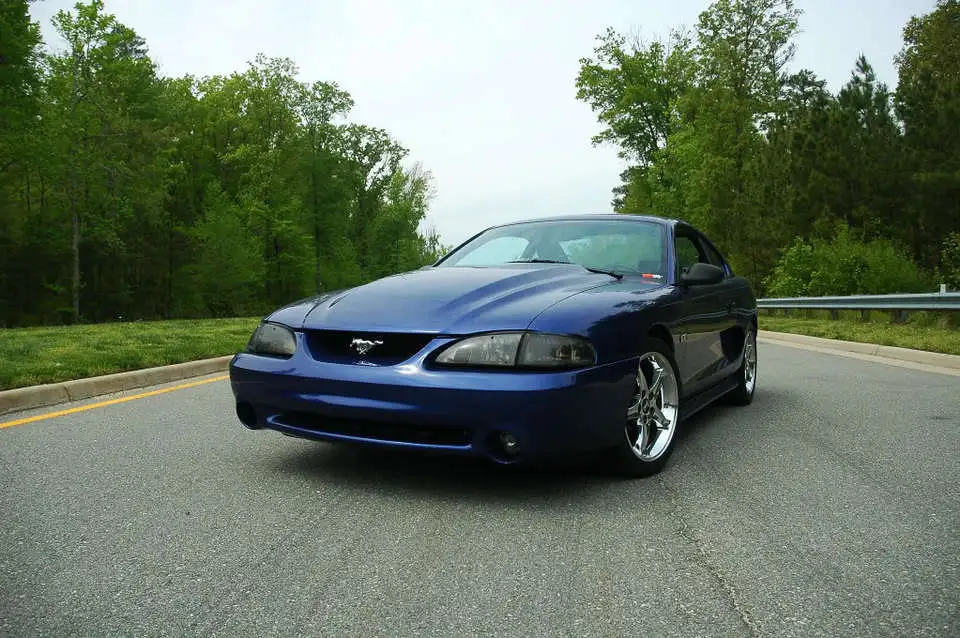 mattstang5.webp