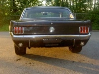 maymustang013ht3.th.webp