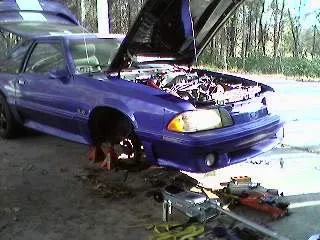 mine3.webp