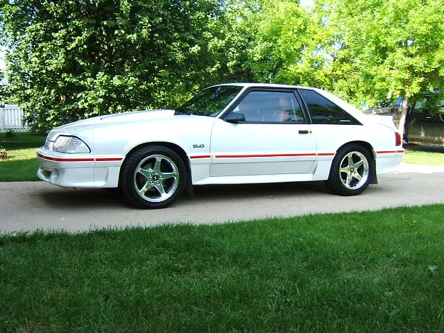 misccarpics003.webp