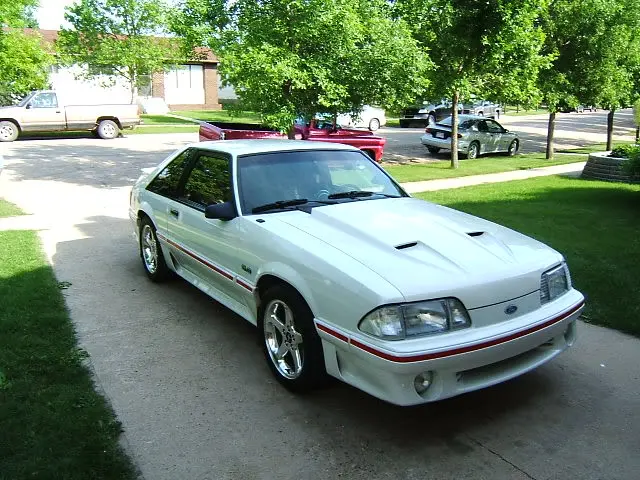 misccarpics008.webp