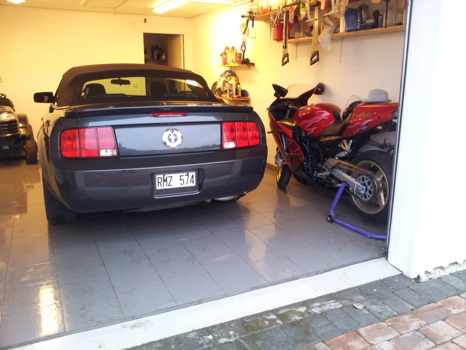 mistang.webp