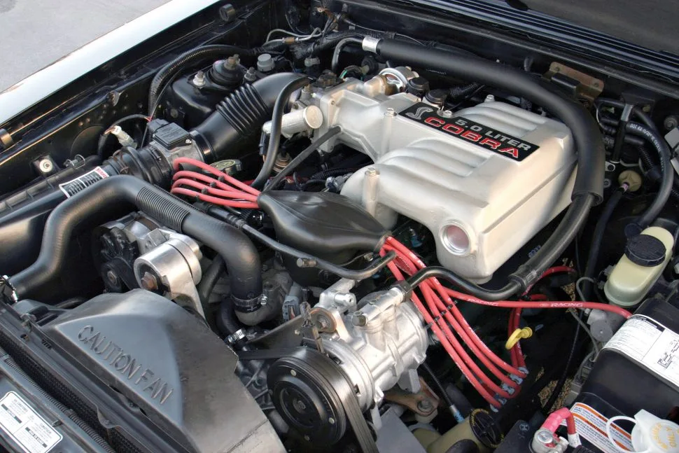MM61-BUG-Eng000-970x647.webp