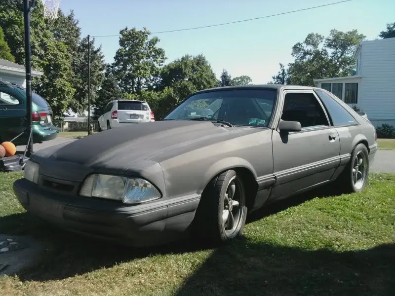 mms_picture7.webp