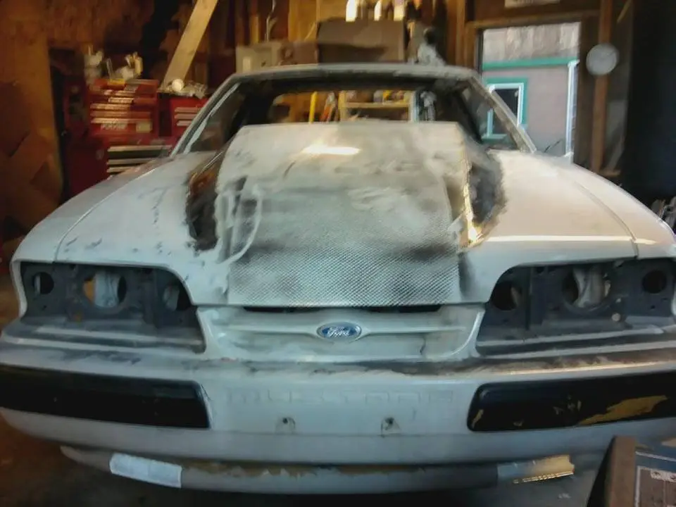 mms_picture_3.webp