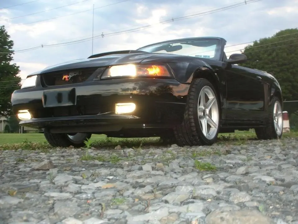 mn13.webp