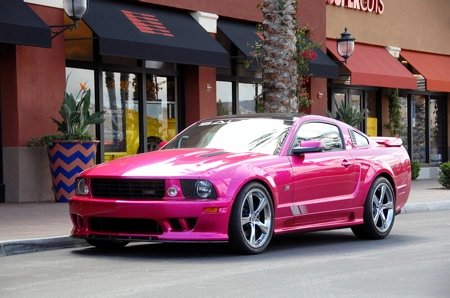 molly-pop-mustang-9_450.webp