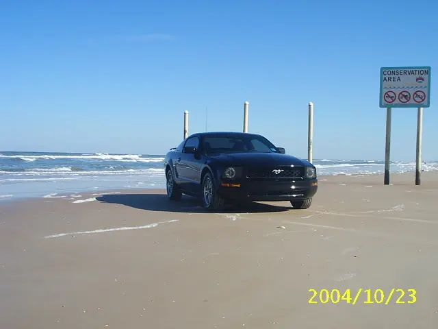 monauto2.webp