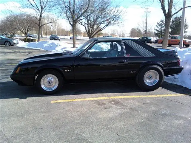 moostang.webp