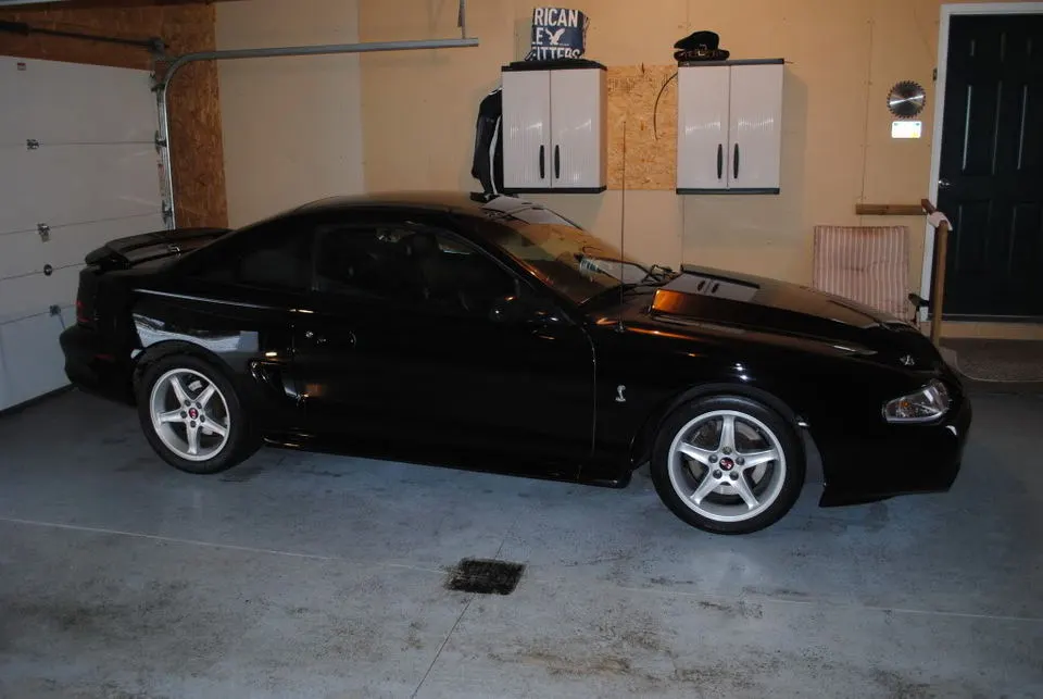 moremustang001.webp