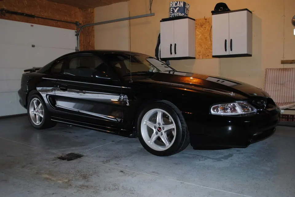 moremustang002.webp