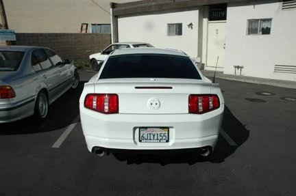 moss_muscle_rear1.webp