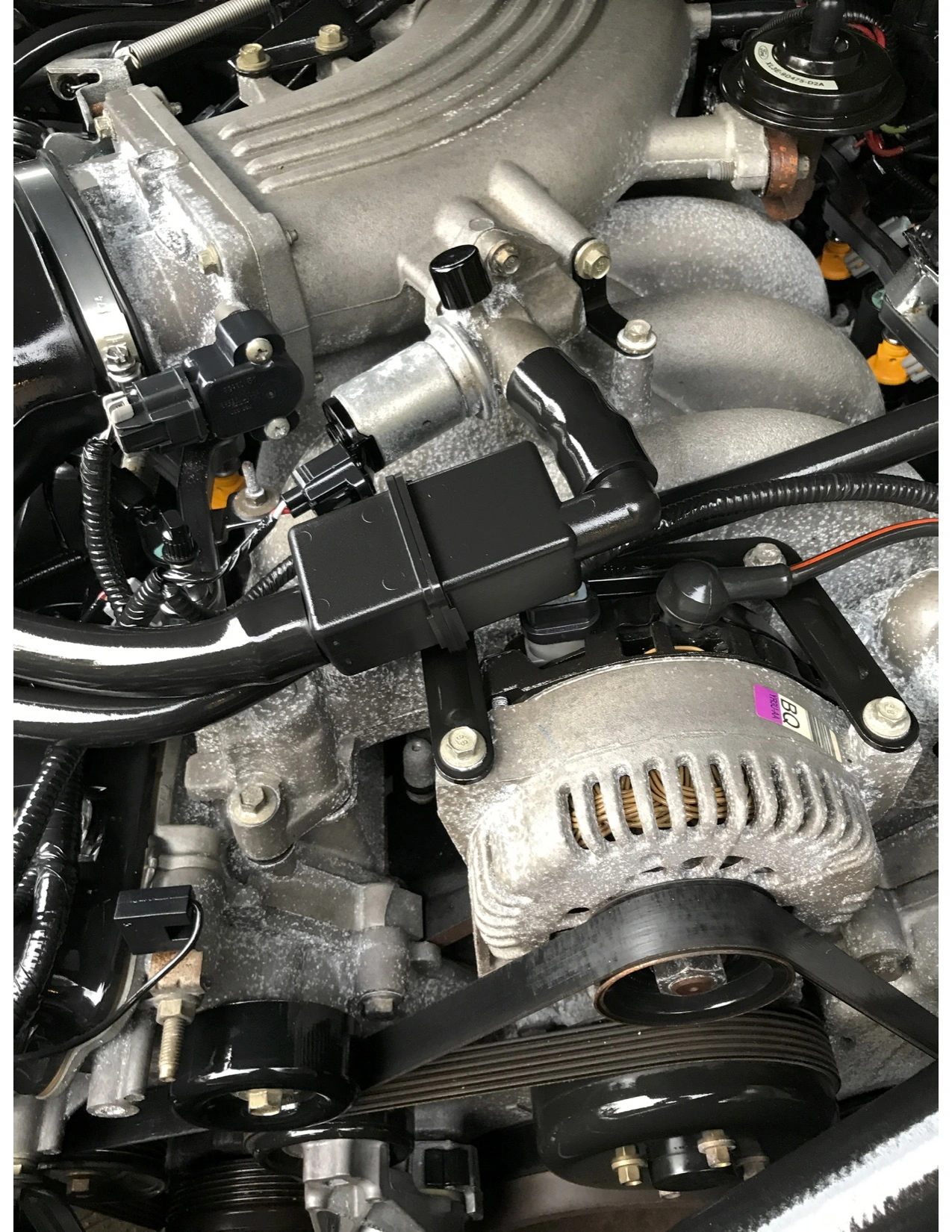 motor.webp