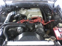 motorzy.th.webp