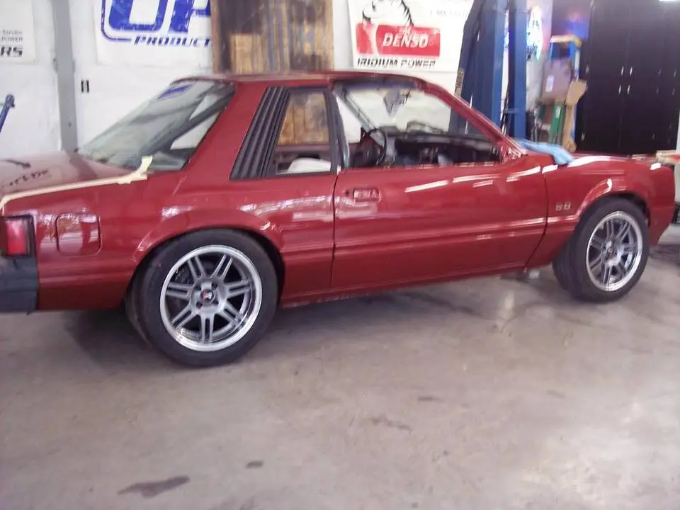 mounted011.webp