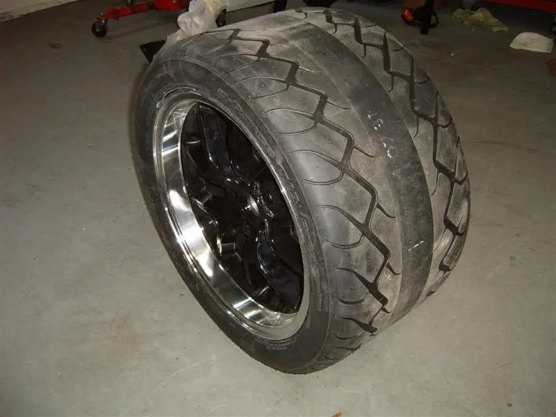mounted345_2.webp