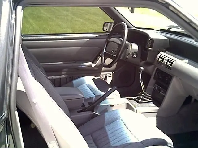 Mstng28.webp