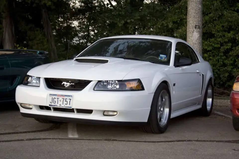 mtshoot1jpg-8.webp