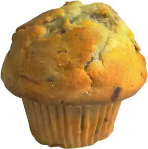 muffin.webp