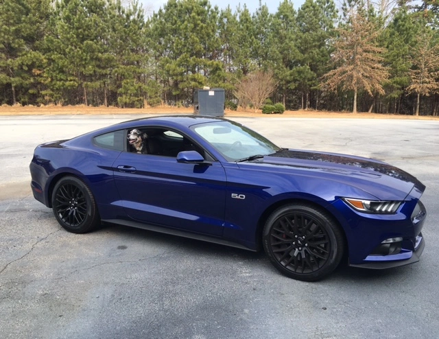 murphstang-001.webp