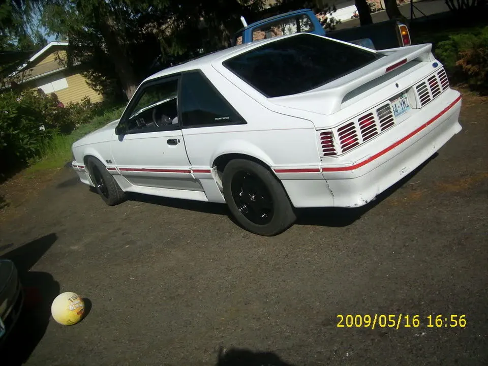 musayyyy017.webp