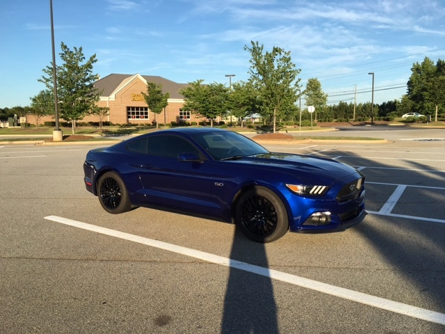 mustang-001.webp