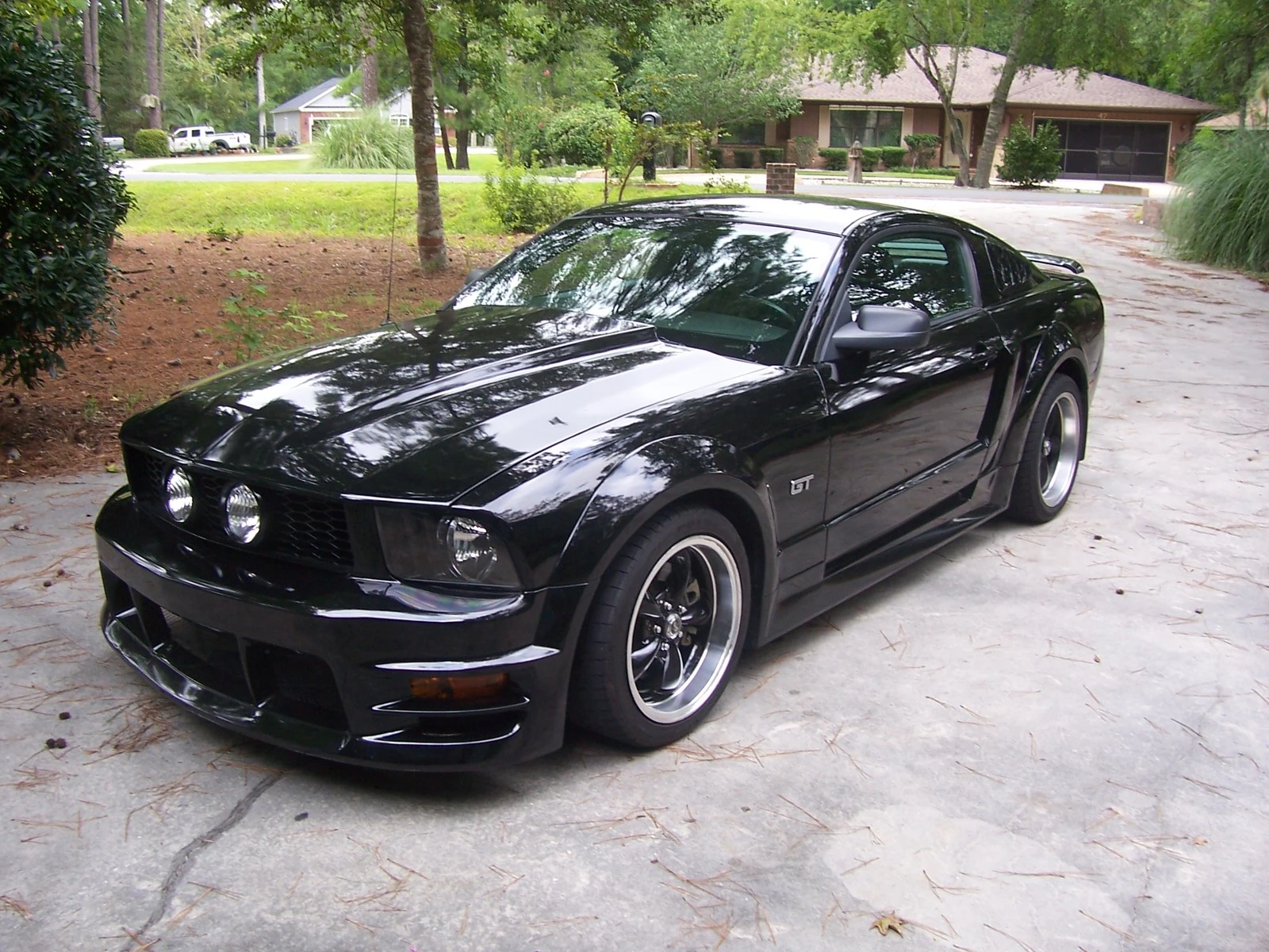 mustang 001.webp