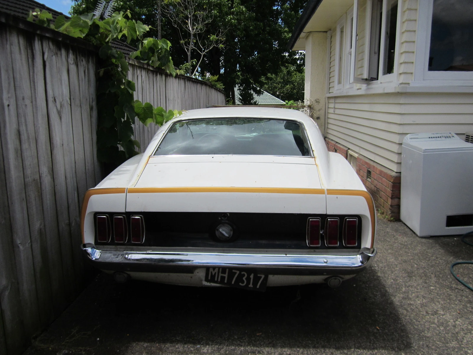 mustang 001.webp