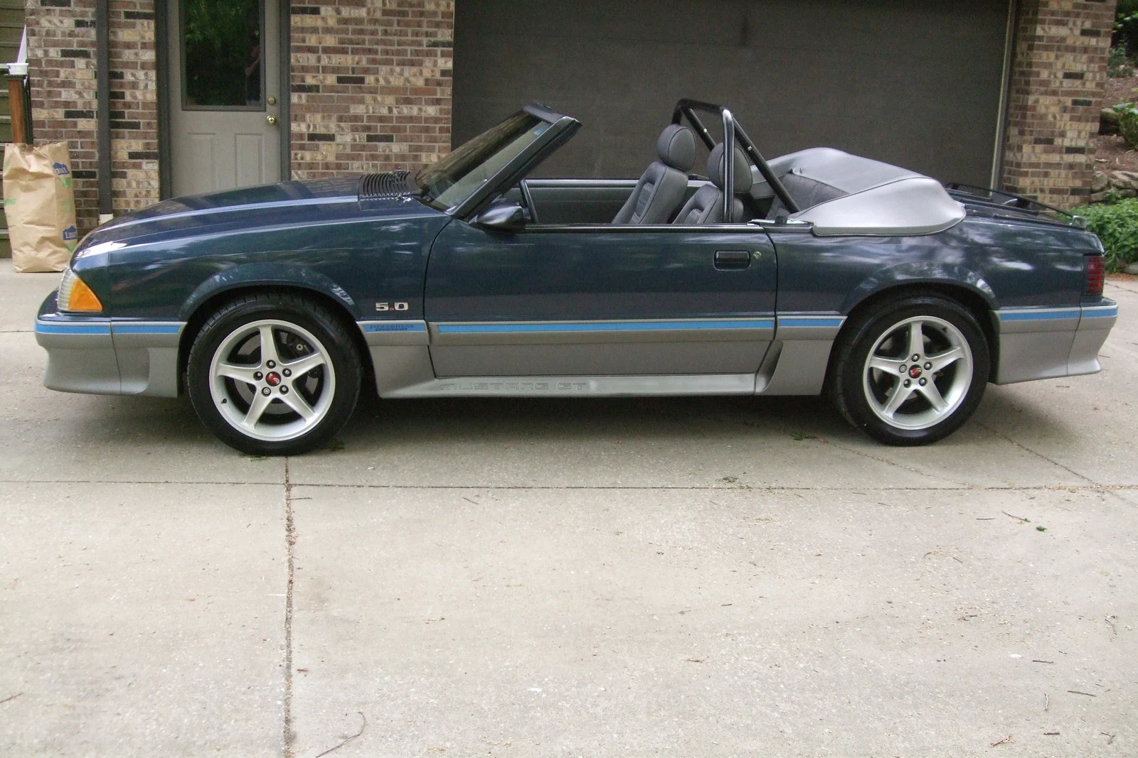 Mustang 001.webp