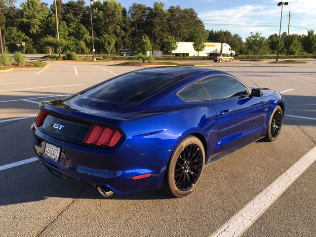 mustang-002.webp