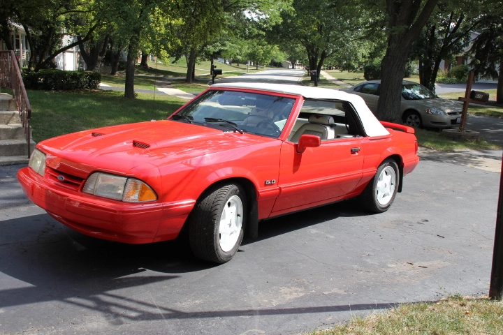Mustang ++ 002.webp