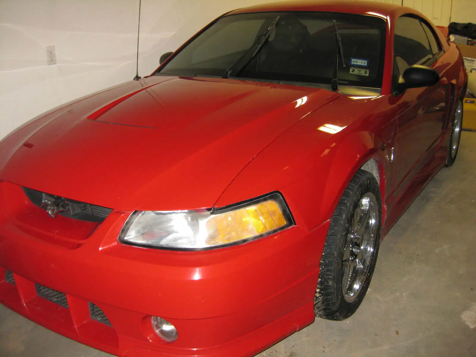 mustang 003.webp