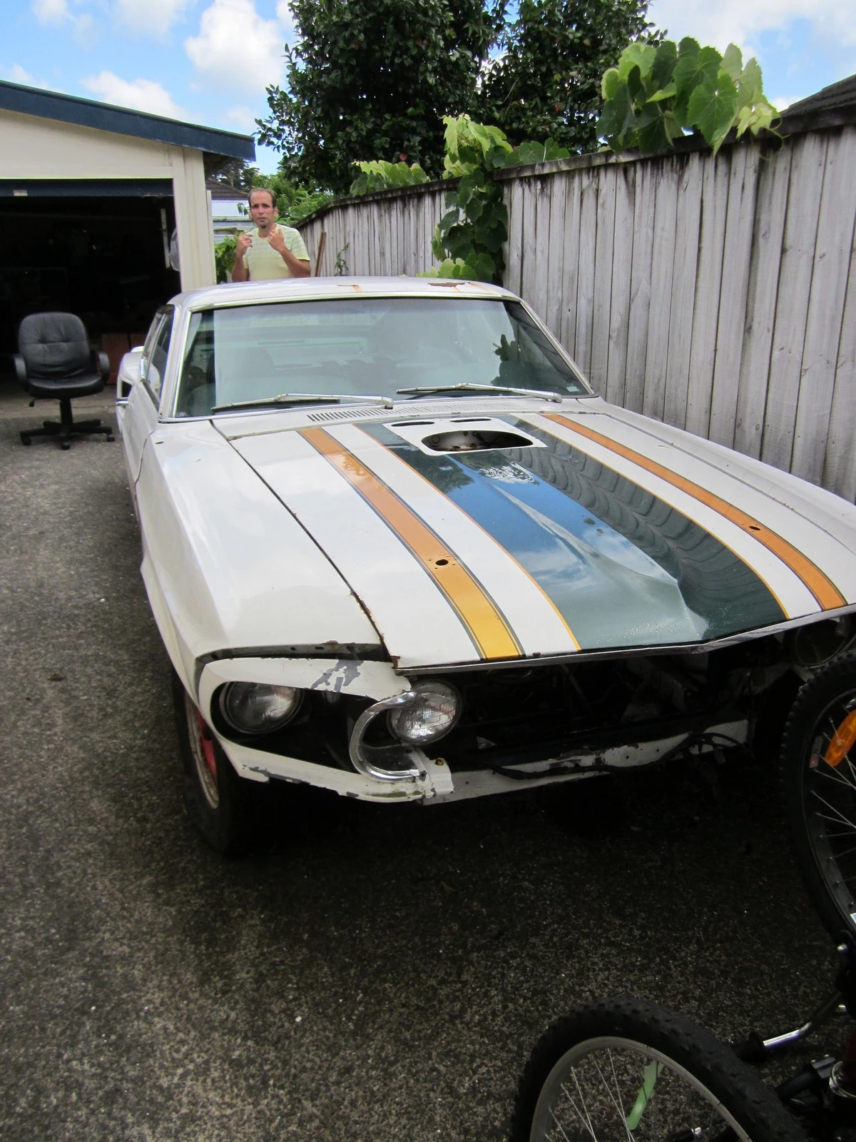 mustang 003.webp