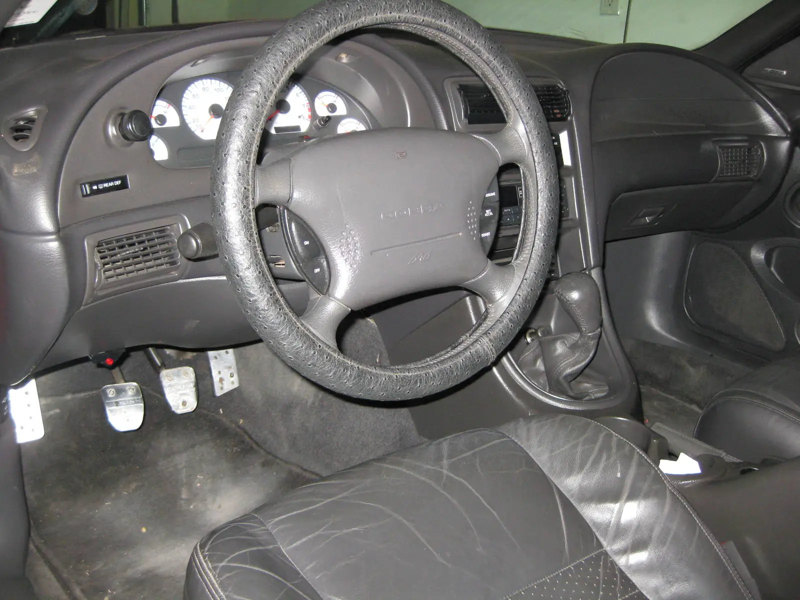 mustang 004.webp
