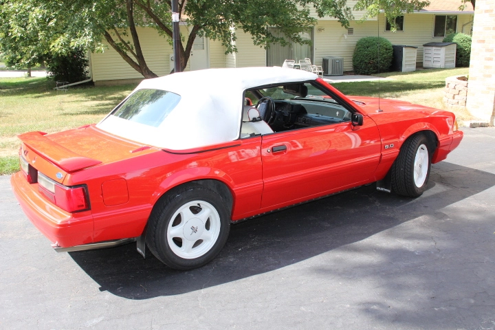 Mustang ++ 004.webp