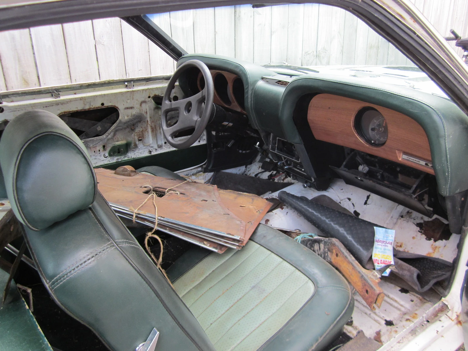 mustang 005.webp