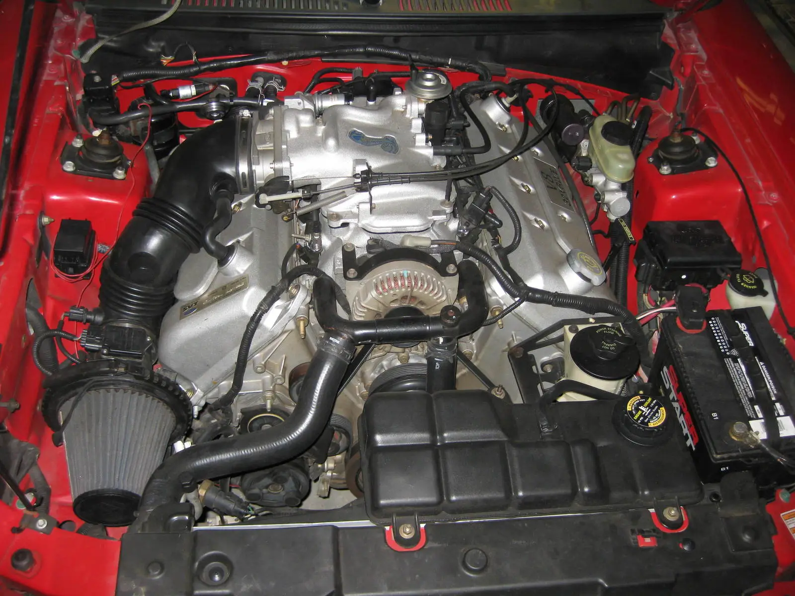 mustang 006.webp