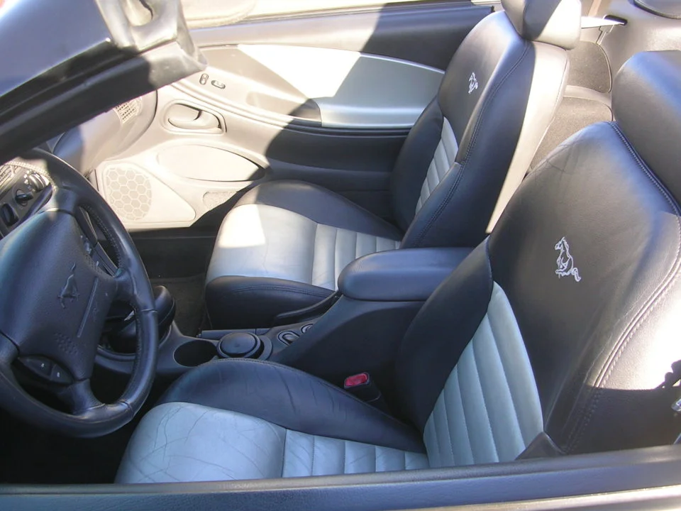 Mustang 007.webp