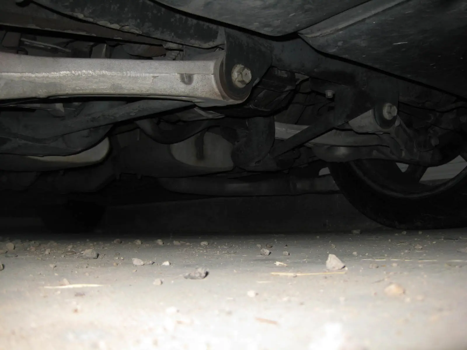mustang 007.webp