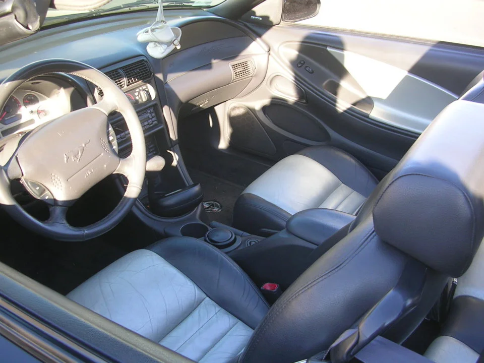 Mustang 008.webp