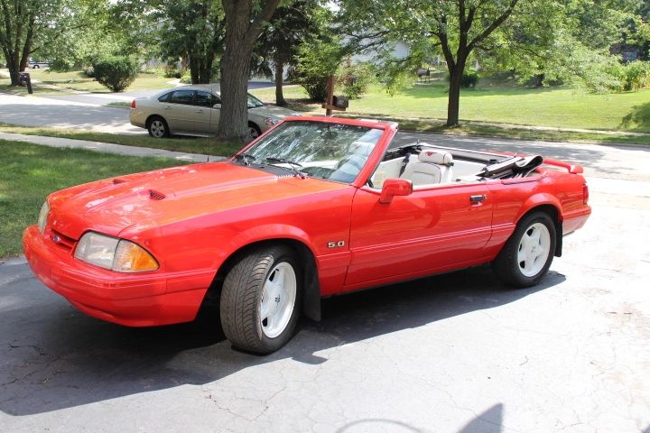 Mustang ++ 009.webp
