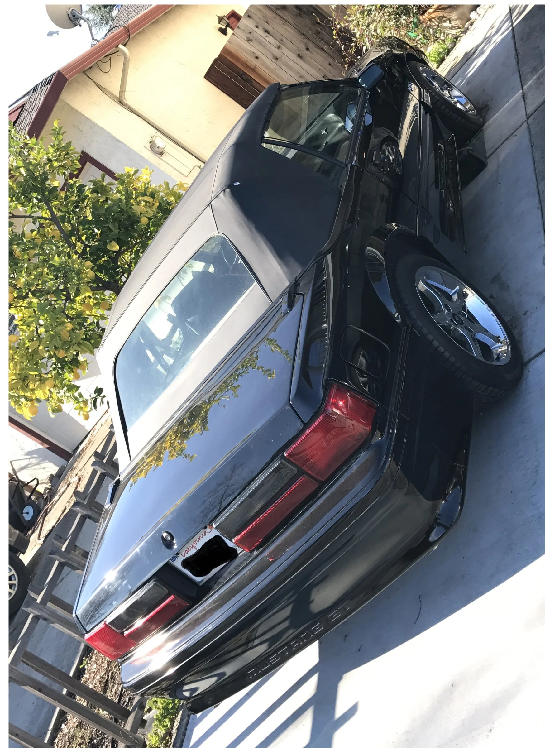 mustang 01.2017_II.webp