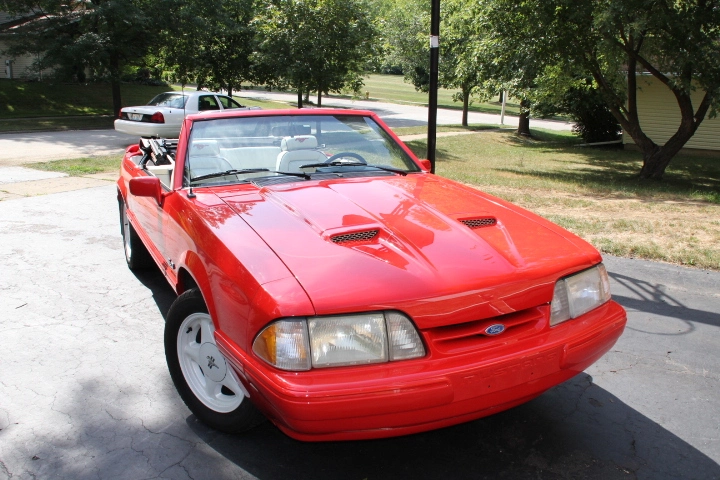 Mustang ++ 010.webp