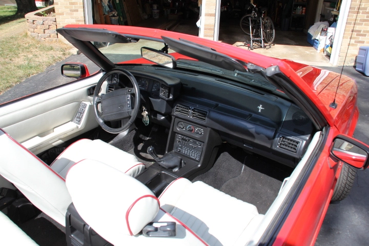 Mustang ++ 011.webp